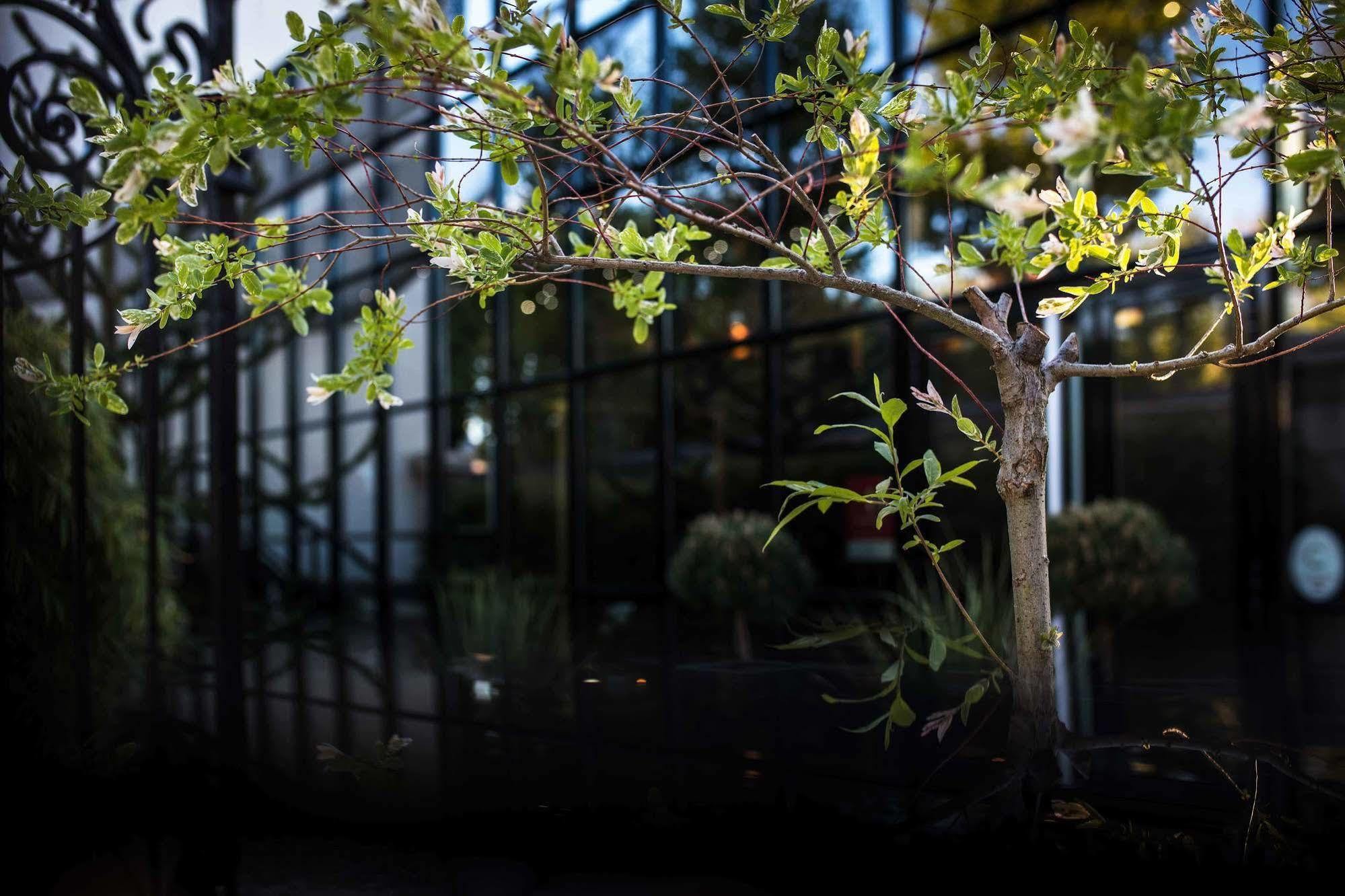 Maison Decoret - Relais & Chateaux Vichy Ngoại thất bức ảnh